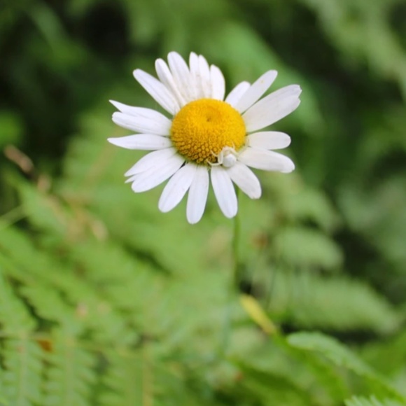 Meet your Posher, Courtney - Picture 9 of 9